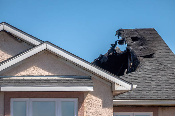 Licensed Fire Damage Assessment service in Waverly, MN - Fire Damage Biloxi
